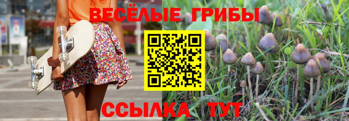 Псилоцибиновые грибы Magic Shrooms  Вход с VPN  Галлюциногенные грибы GOLDEN TEACHER  Советск 
